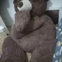 خرس قهو های دومتری|اسباببازی بچه|امیرکلا, |دیوار