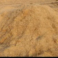 کاه خوشه