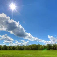 اشپز یا تخته کار