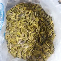 کنجد بادام کنجد|خوردنی و آشامیدنی|گلبهار, شهر جدید گلبهار|دیوار