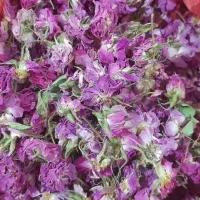گل محمدی خشک امسالی