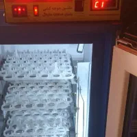 دستگاه جوجه کشی تمام اتوماتیک۲۵۲عددی مبین صنعت