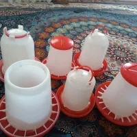 آب خوری ودان خوری