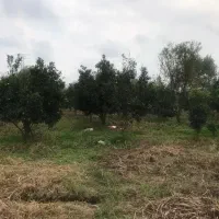 زمین باغی ۳۶۰۰ متر مربع با ۱۴۰۰ متر کاربری مسکونی