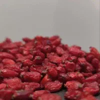 زرشک پفکی|خوردنی و آشامیدنی|تهران, اوقاف|دیوار