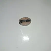 سنگ شجر