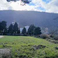 یالبندان کوهپایه/۲۲۰۰متر/ سند ششدانگ