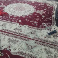 دوعدد فرش|فرش|یاسوج, |دیوار