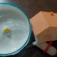 وسایل همستر