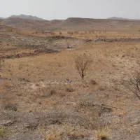 فروش چاه کشاورزی دربست|فروش زمین و ملک کلنگی|قائن, |دیوار