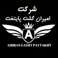 راننده با خودرو سواری برای در اختیار ادارات