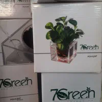 ظرف ماهی پلکسی ۱۵×۱۵