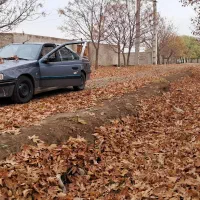 پژو ۴۰۵ مدل ۹۴ دوگانه شرکتی|خودرو سواری و وانت|قرچک, میرزائی شمالی|دیوار