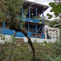 اقامتگاه سنتی جنگلی دربست