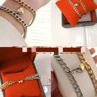 بدلیجات رنگ ثابت