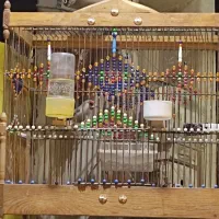 سهره کرمونی