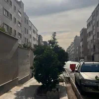 زمین-علمداری