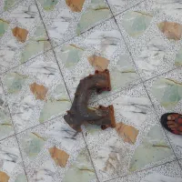 تمام قطعات نیسان