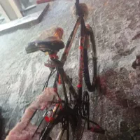 دوچرخه|دوچرخه، اسکیت، اسکوتر|مشهد, موسوی قوچانی|دیوار