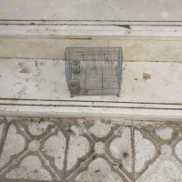 قفس پرنده|لوازم جانبی حیوانات|شیراز, سعدیه شمالی|دیوار