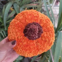 کدو گوشواره، بلوط و،برگ های بافتنی پاییز و یلدا|صنایع دستی و سایر لوازم تزئینی|اسلامشهر, شهرک لاله|دیوار