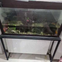 آکواریم وپایه