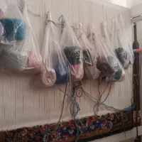 دار قالی نیمه بافته نقشه سالاری