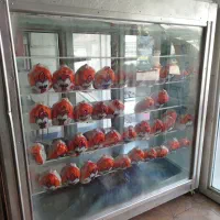 فروش یخچال فریزر ویترینی