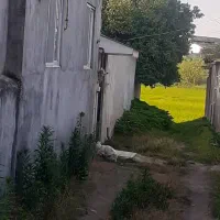 اجاره ویلا قدیمی ساز
