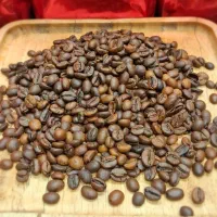 قهوه/قهوه فوری/قهوه ترک/ماسالا/کرک|عمده‌فروشی|مشهد, رستگار|دیوار