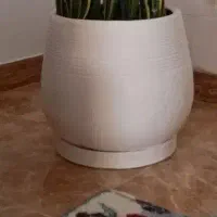 گل و گلدون و کوسن به فروش میرسد