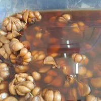 سیر ترشی ارگانیک خانگی ۶ ساله|خوردنی و آشامیدنی|سرعین, |دیوار