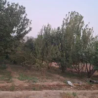 فروش باغ|فروش زمین و ملک کلنگی|رونیز, |دیوار