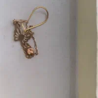 گم شدن یک لنگه گوشواره