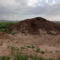 با گوسفندی وگاوی ومرغی|خدمات باغبانی و درختکاری|قوچان, |دیوار