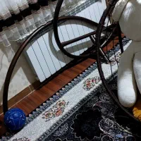 تاب عروسک|اسباببازی|سقز, |دیوار