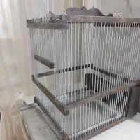 قفس سهره|لوازم جانبی حیوانات|تهران, مشیریه|دیوار