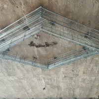 رابیتس پیشرو