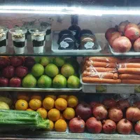 یخچال الکترو استیل آکواریوم