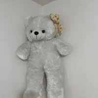 خرس نو