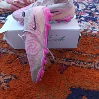 کفش استوک|کیف، کفش، کمربند|اهواز, دغاغله|دیوار