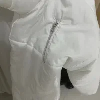 دو عدد کاپشن شیک|لباس|قم, دانش|دیوار