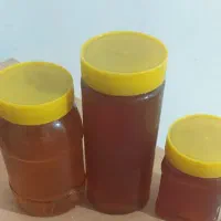 عسل کوهی کوه بیرک|خوردنی و آشامیدنی|سراوان, |دیوار