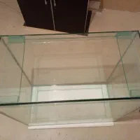اکواریوم ماهی|ماهی|شیراز, تاچارا|دیوار