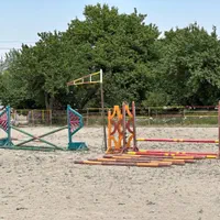 باشگاه سوارکاری آموزش سوارکاری پانسیون|اسب و تجهیزات اسب‌سواری|تبریز, |دیوار