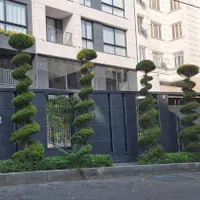 خدمات‌باغبانی ویژه سرویس درتمام نقاط تهران