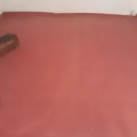 موکت