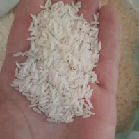 برنج هاشمی شمال شهرخوش آب هوای شفت|خوردنی و آشامیدنی|رشت, لاکان|دیوار