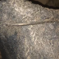 شهاب سنگ|کلکسیون اشیاء عتیقه|شیراز, شهرک صنعتی شیراز|دیوار