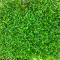 گرین وال رنگی گل رنگی یخی|گل مصنوعی|اصفهان, خواجو|دیوار